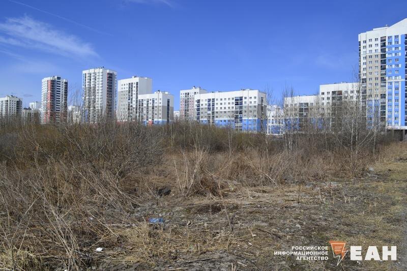    Фото предоставлено ЕАН жителями Академического