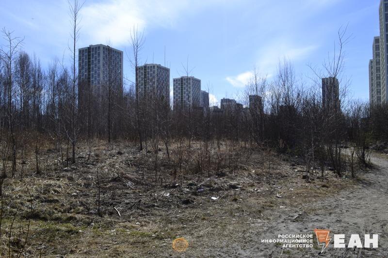    Фото предоставлено ЕАН жителями Академического