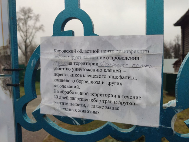    В Слободском начали сражаться с клещами