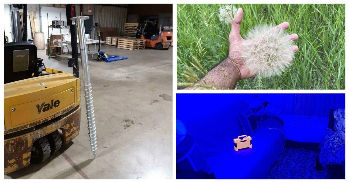 Источник: boredpanda.com