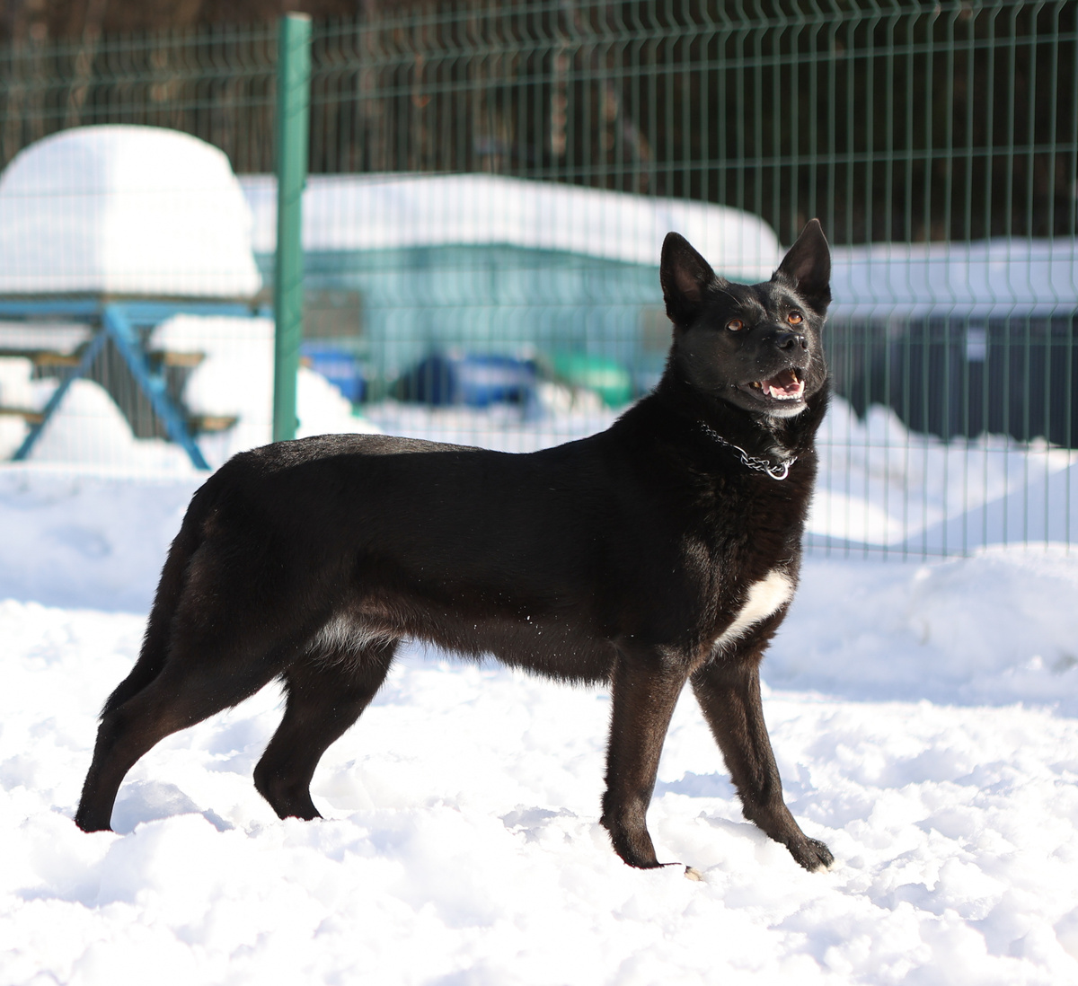 Ведь вы же рассказывали, что никто много лет кому-то не звонил, а потом раз и чудо