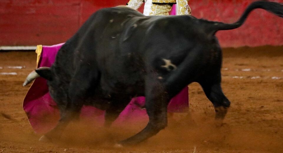    Ian Robles/ Eyepix Group / www.globallookpress.com