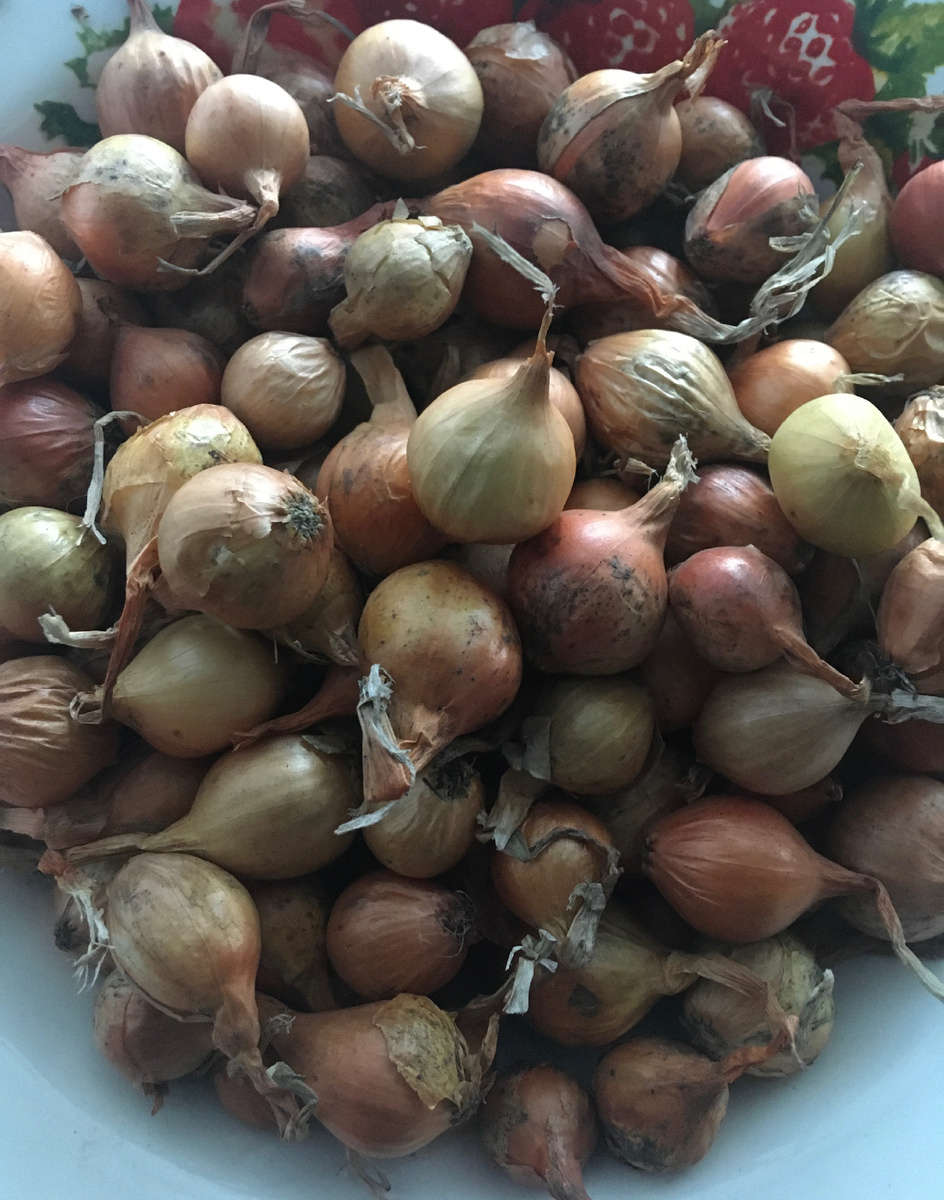 Крупненький. 