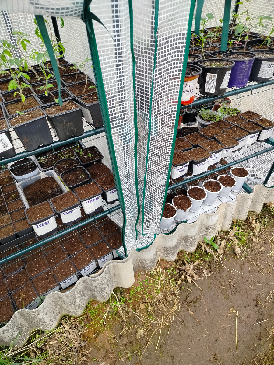 Все полочки теперь заполнены.