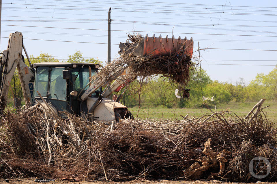    Фото: Дмитрий Рогулин / "Городские вести"