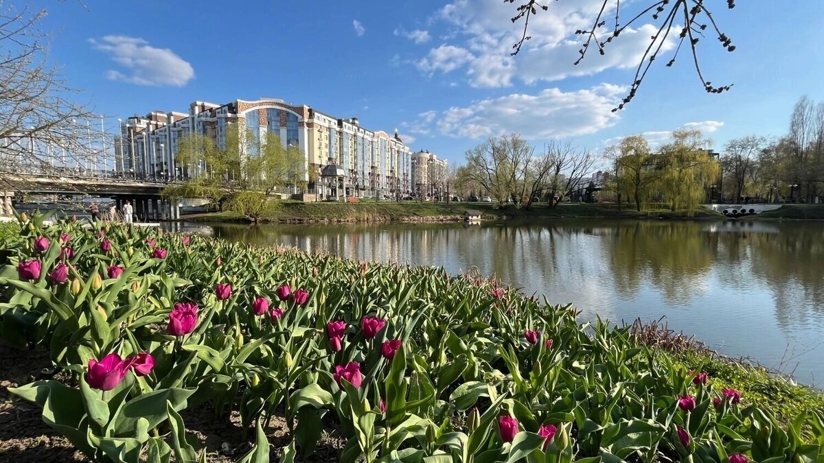     Автор: Алёна Мальцева Источник: bel.ru