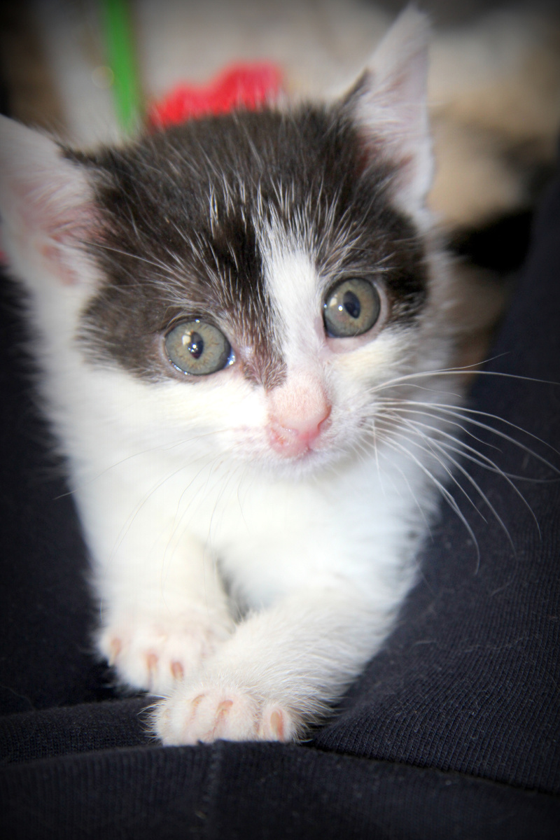 Вот вы приколисты!