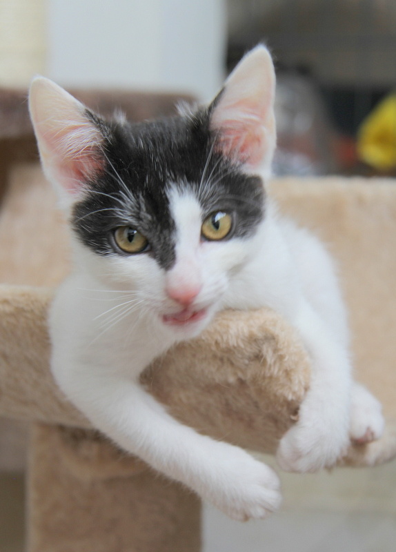 А зачем мне дом искать?