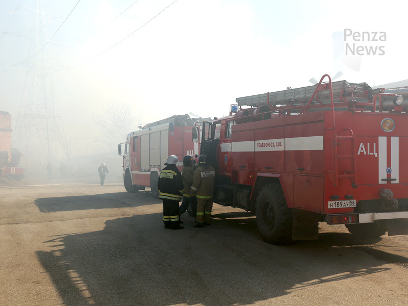    © Фото из архива ИА «PenzaNews»
