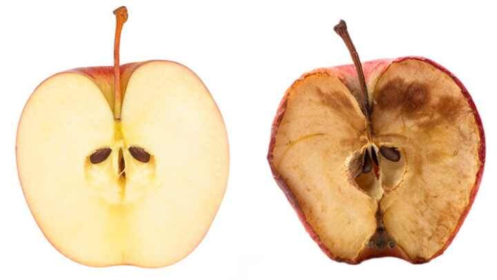 Пример, "окислительного стресса" у яблочка. Когда вы режете яблоко, его клетки повреждаются. Из них выходит фермент (полифенолоксидаза), который реагирует с кислородом из воздуха. Из-за этого бесцветные вещества в яблоке превращаются сначала в хиноны, а затем — в коричневые пигменты (меланины). 