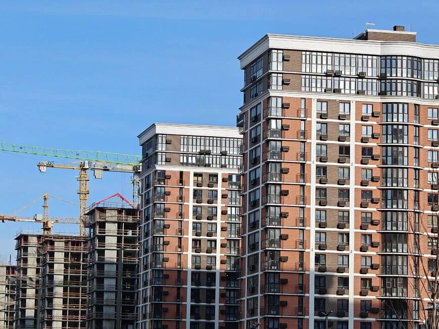    Фото: Юрий Серебренников/BFM Кубань