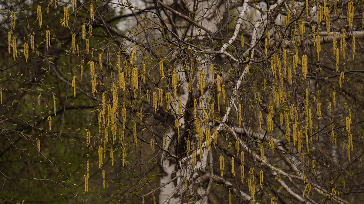    Фото: vm.ru Георгий