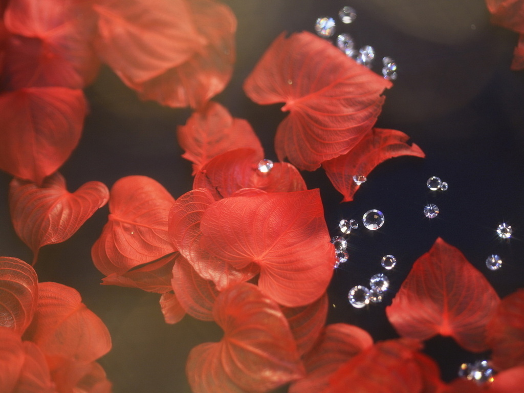 Фото из Твиттера.