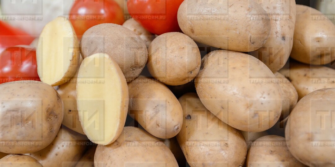 Как избавиться от вредителя - проволочника на картофеле