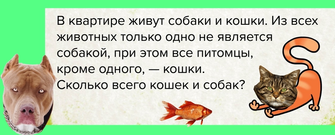 Фотозадача на логику