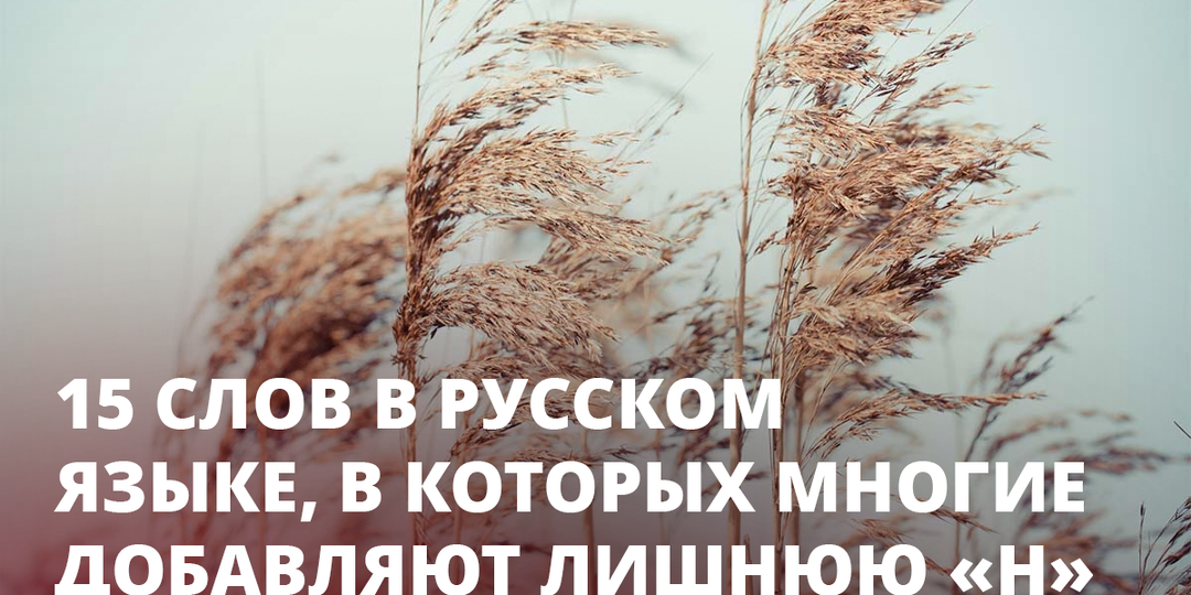 15 слов в русском языке, в которых многие добавляют лишнюю «Н»