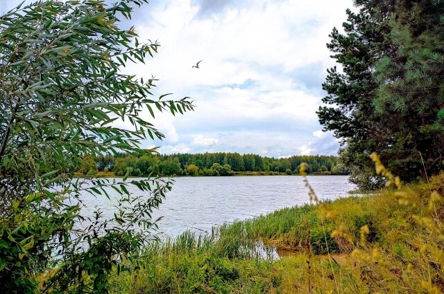    Ребята хотели вернуться домой пешком, но заблудились Фото:  АиФ/ Валерия Иванникова