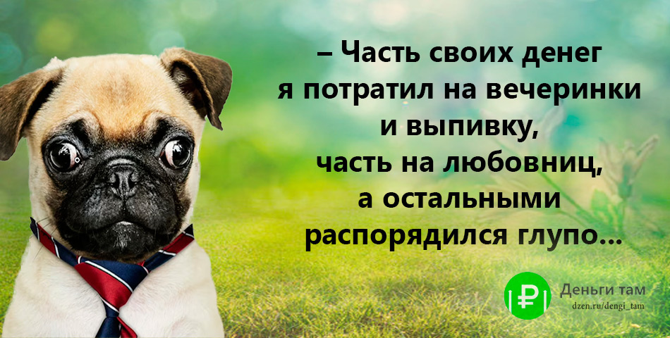 Иллюстрация сделана с использованием Freepik freepik.com/free-vector/dog-with-drawn-suit