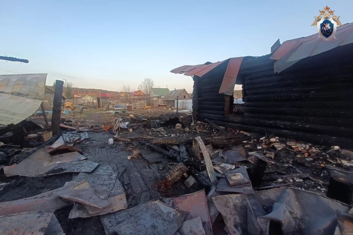    В сгоревшем доме посёлка Василовка погибли четверо детей.