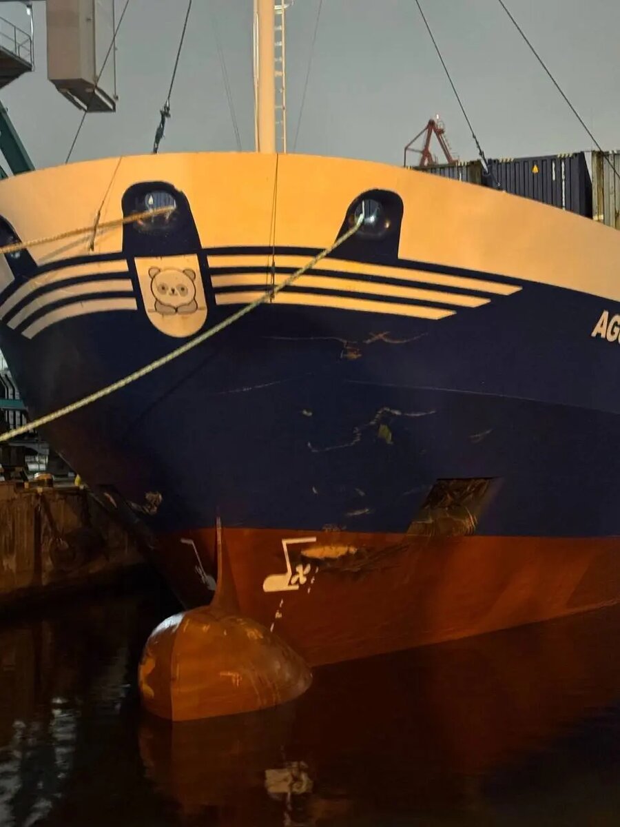    Фото: пресс-служба Управления на транспорте МВД России по СЗФО