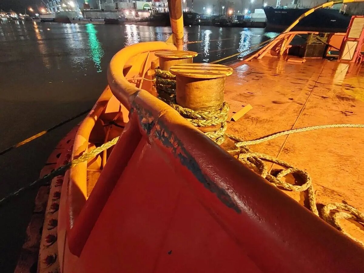    Фото: пресс-служба Управления на транспорте МВД России по СЗФО