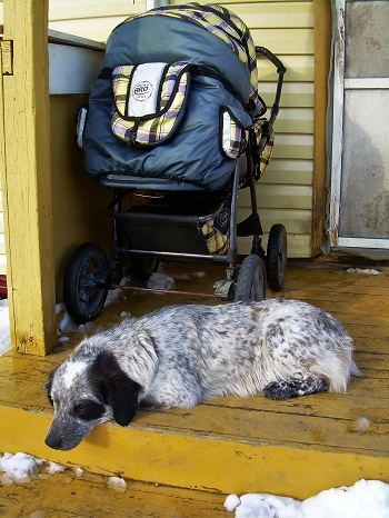 Фотографии Татьяны Немшановой. Северное таёжное село. Весна в тайге. Сибирь, Приполярный Урал, Зауралье. 