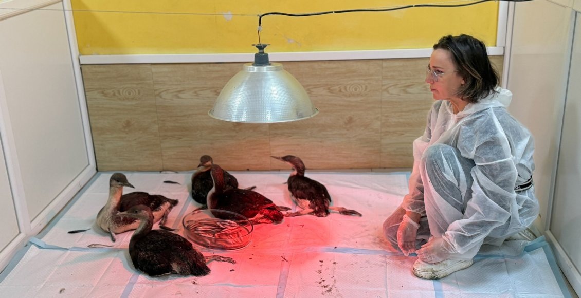    Фото: Минэкологии Крыма