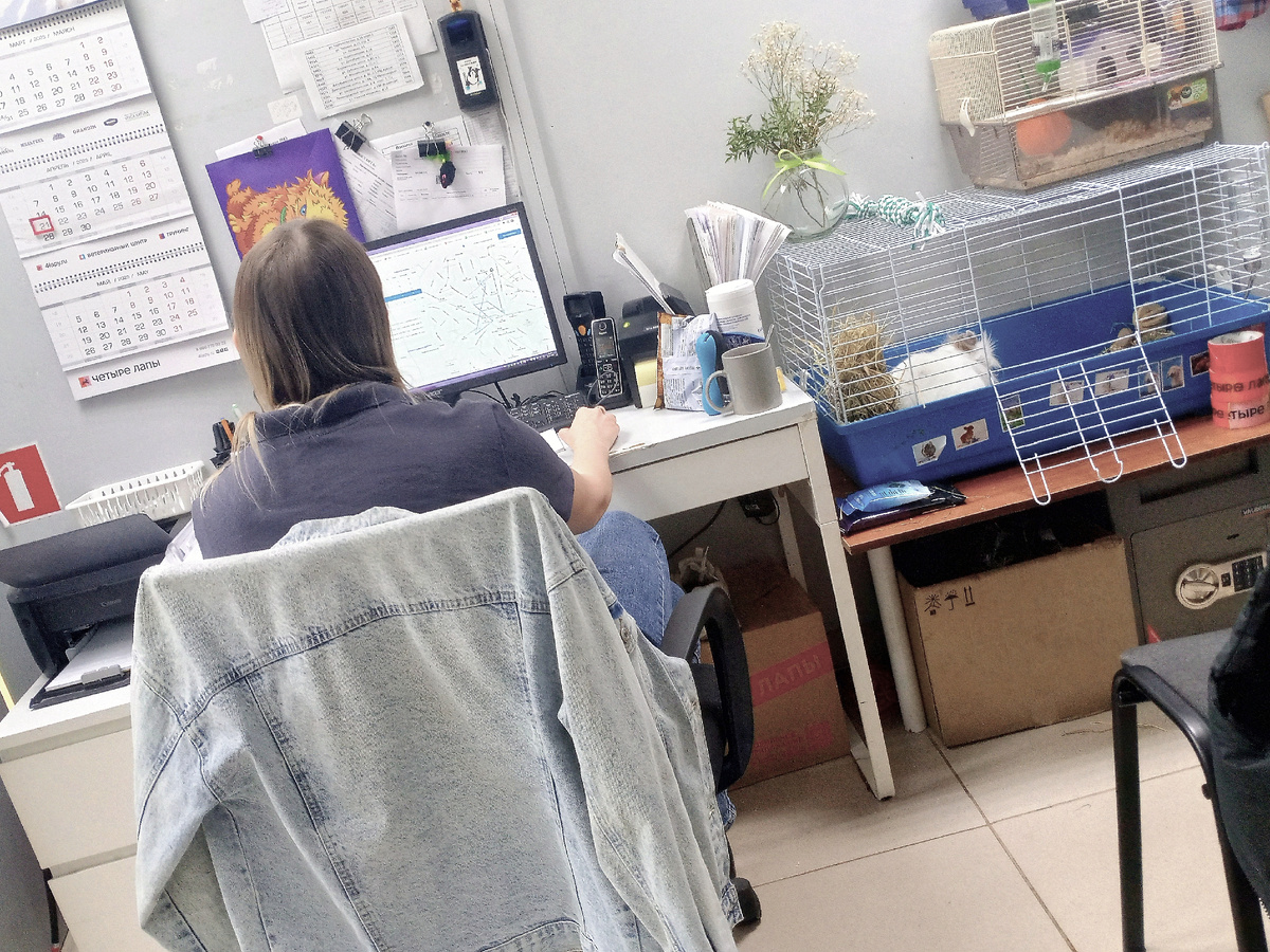 У Кристины волосы чуть светлее. Но всё равно, очень похоже. Особенно если их оаспустить поверх футболки