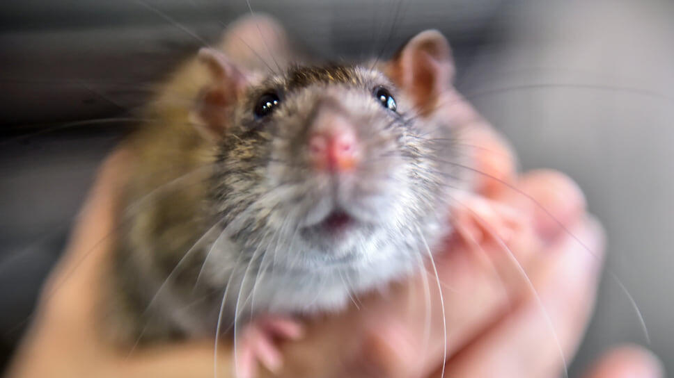 Фото: Влад Некрасов / Коммерсантъ