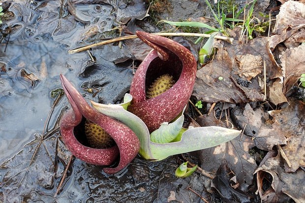    Фото: lenta.ru Георгий