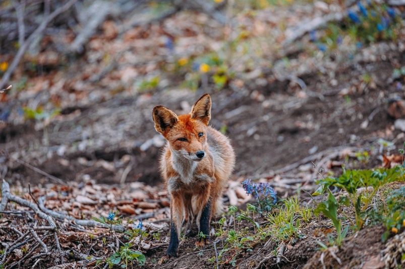    Фото: primamedia.ru Георгий