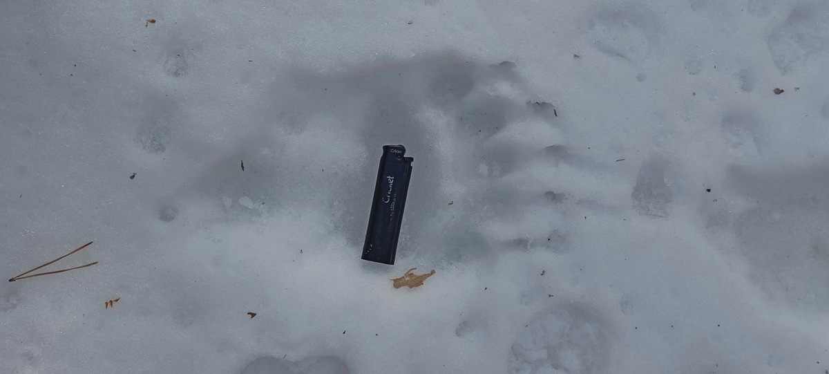    В Советском районе заметили следы медведей и северных оленей