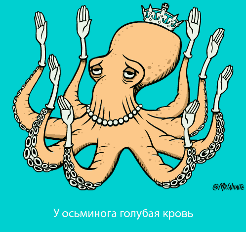 Грустный осьминог-аристократ: https://gifotkrytki.ru/photo/animacija_zhivotnykh/golubaja_krov/18-0-4842
