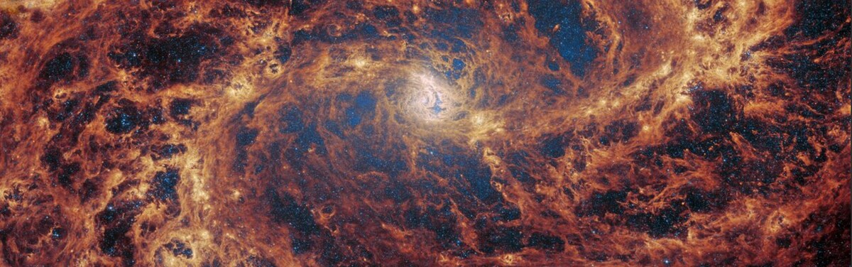 Фото: NASA/ESA/CSA James Webb  📷
