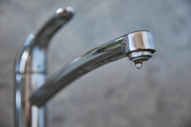    Фото: primamedia.ru Георгий