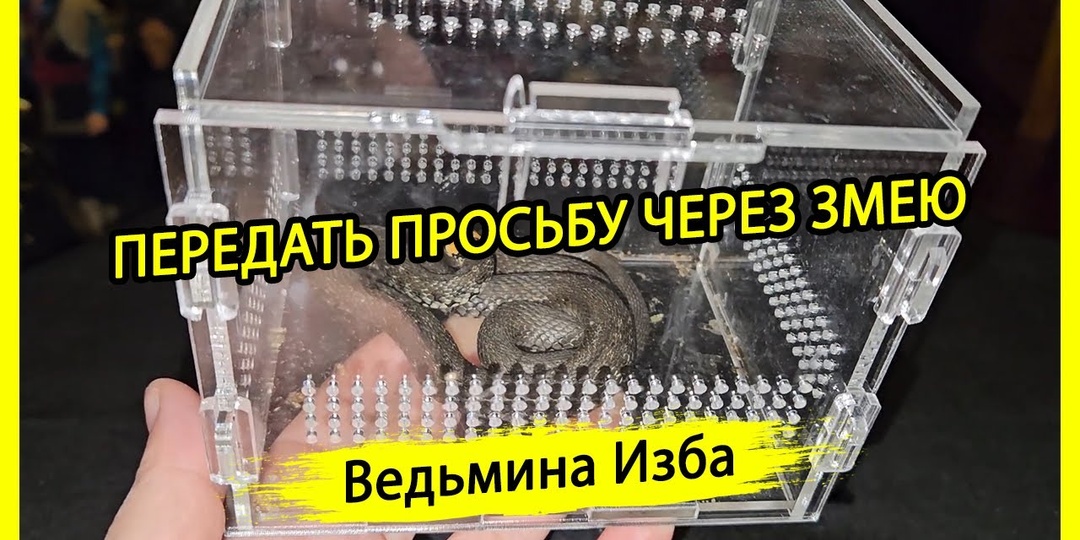ПЕРЕДАТЬ ПРОСЬБУ ЧЕРЕЗ ЗМЕЮ. ДЛЯ ВСЕХ. #ВЕДЬМИНАИЗБА ▶️ #МАГИЯ