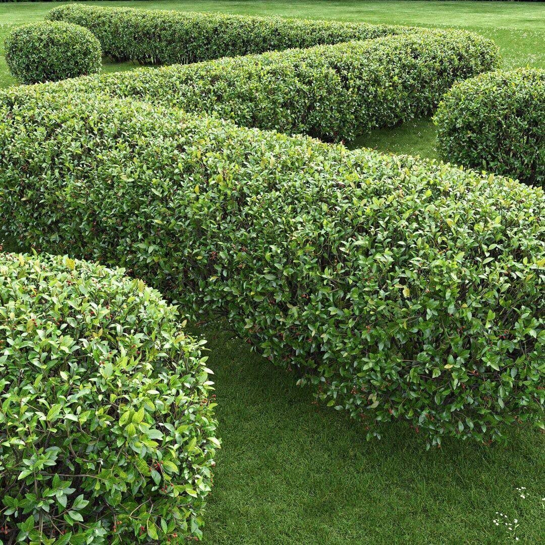 Фото: Управления Россельхознадзора по Орловской и Курской областям