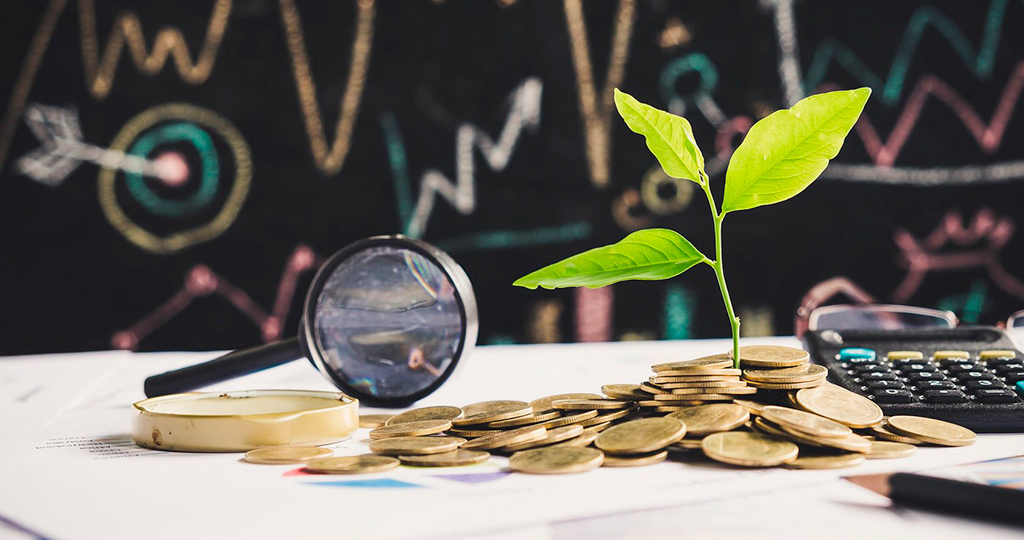 Венчурное финансирование: что такое посевные инвестиции