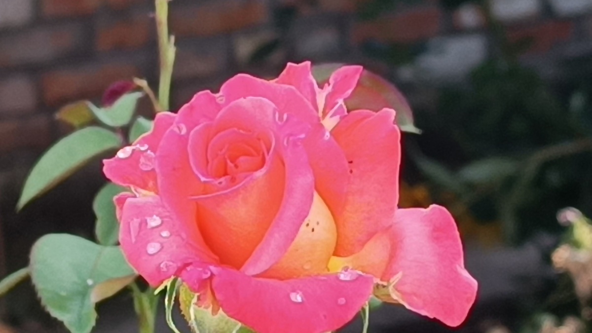 Фото автора канала Мой Розовый мир.