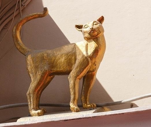 Кошка Василиса. Фотография из открытого источника