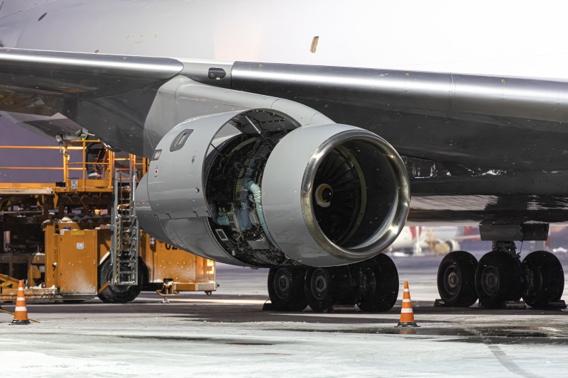    Фото: Edgar Breshchanov/Globallookpress