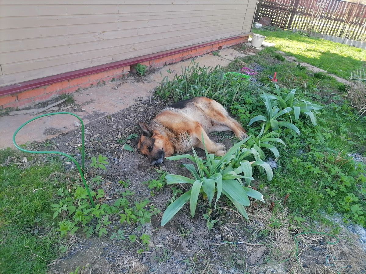 Можно и поваляться