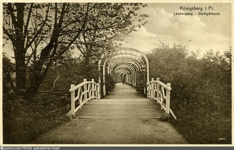 Источник: https://pastvu.com/p/795356 Портик на одной из аллей Ботанического сада. В несколько изменившемся облике этот портик существует и в текущее время