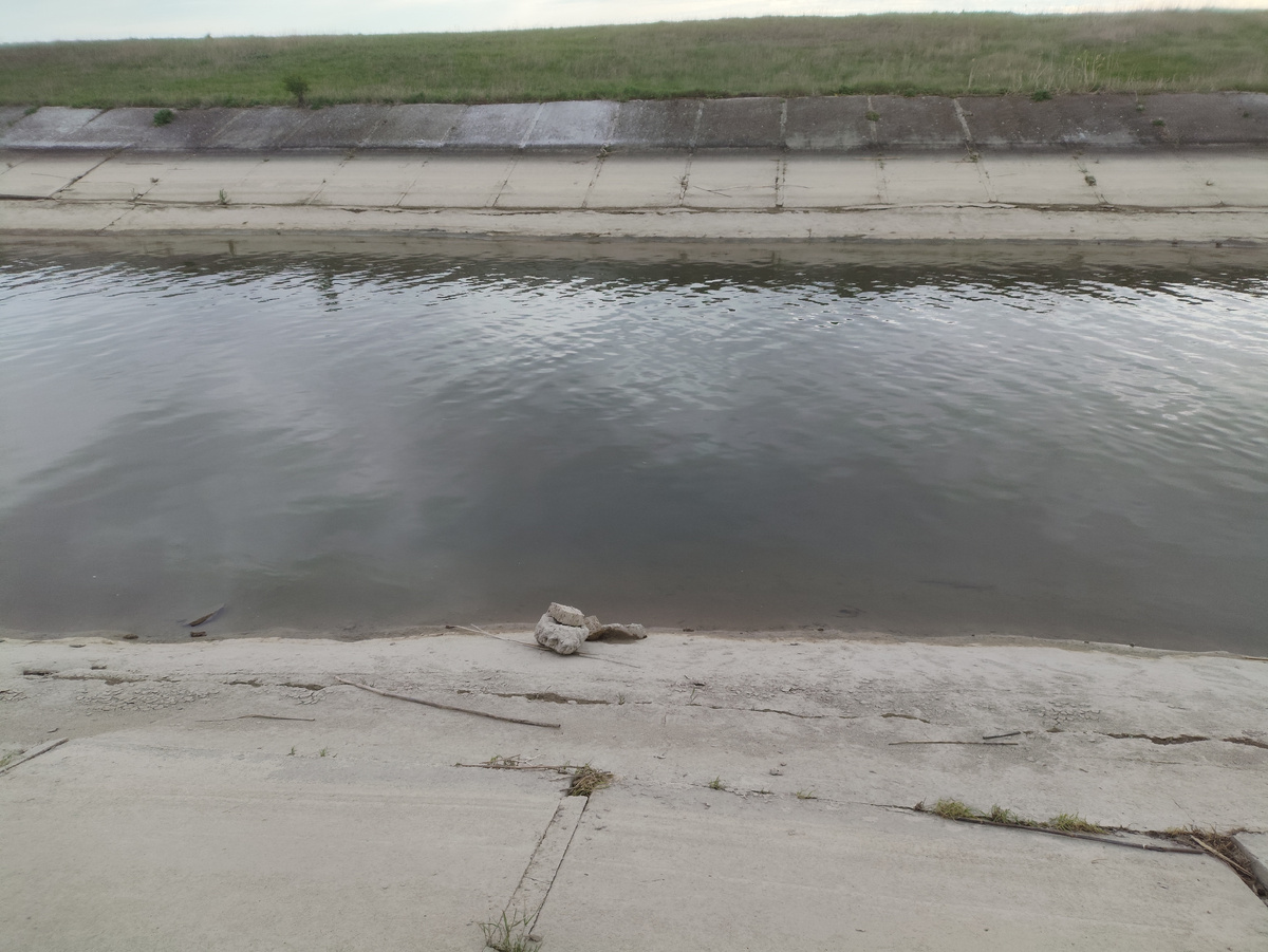 Камушек на берегу