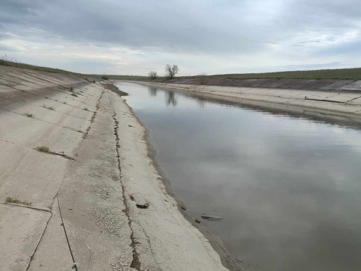 Черная полоса - уровень, на котором вода стояла