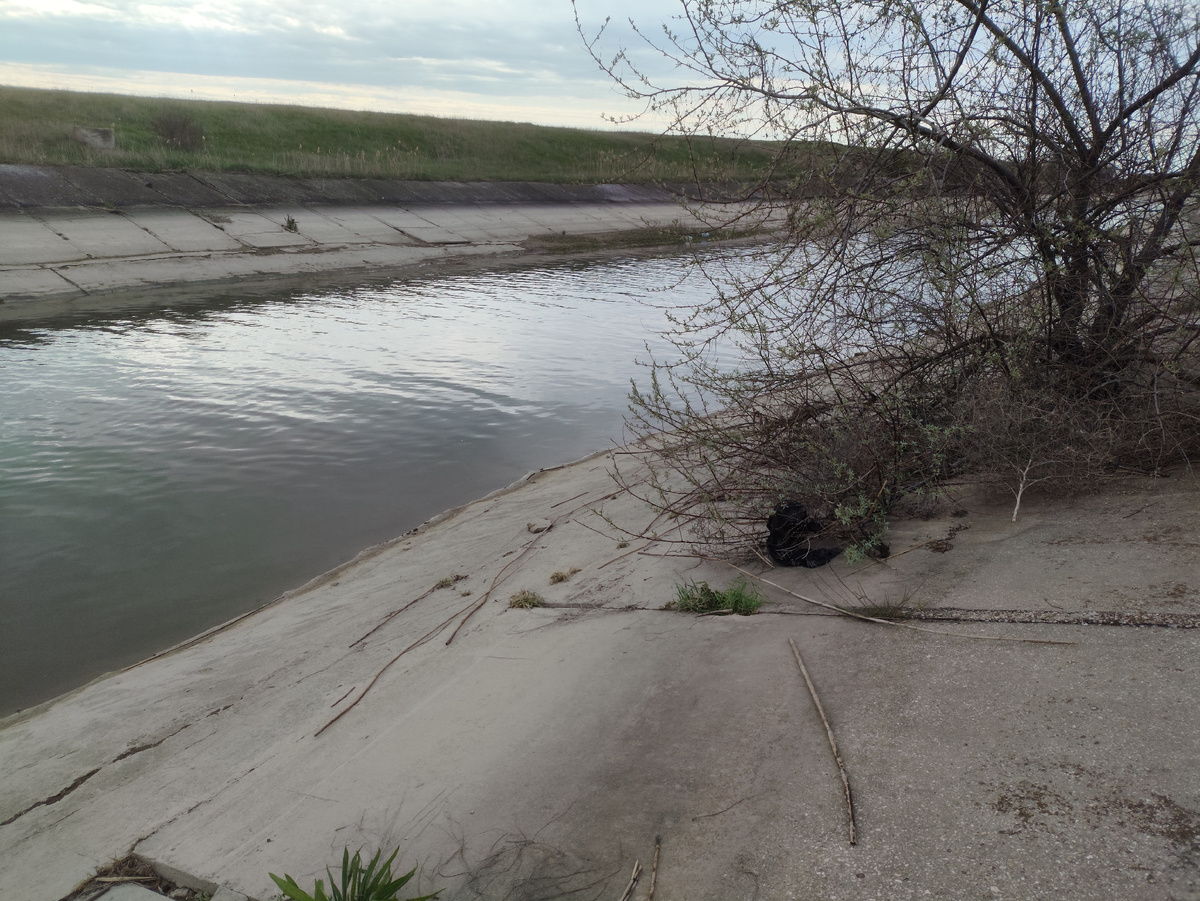 А ветки дерева были в воде