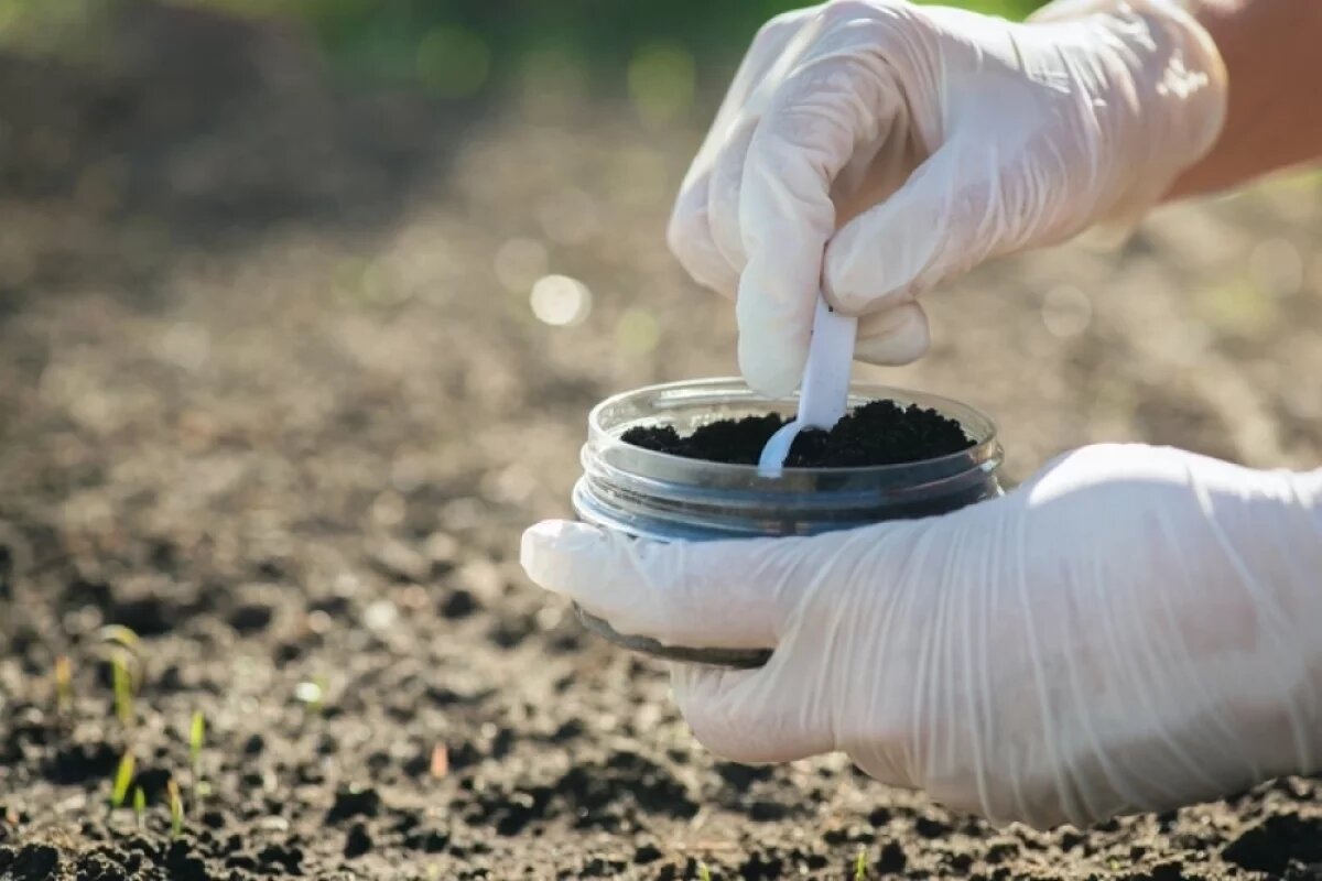    Открытие было сделано в ходе анализа проб из Айовы (США) и Китая.