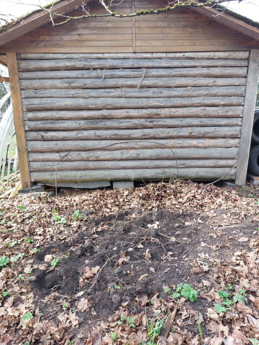 место моих потужных раскопок за баней