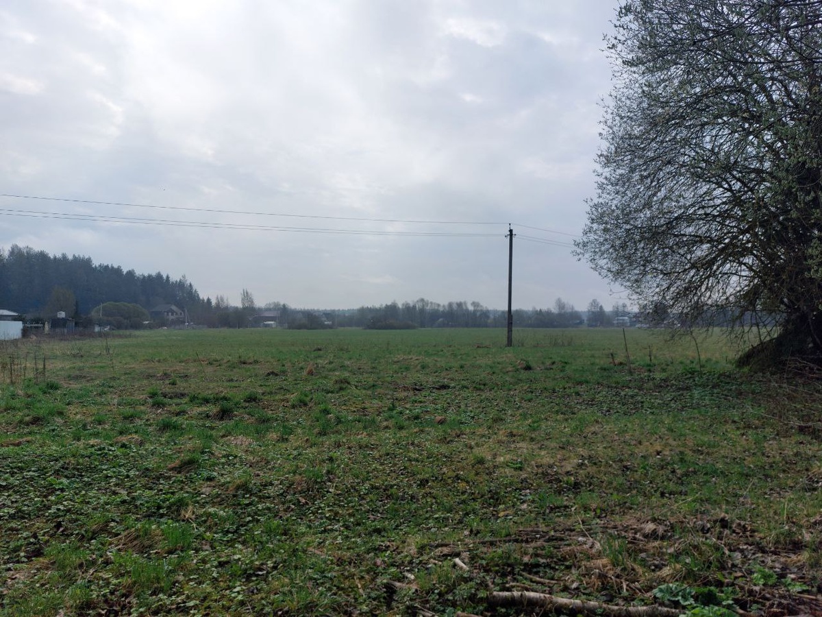 поле рядом с участком