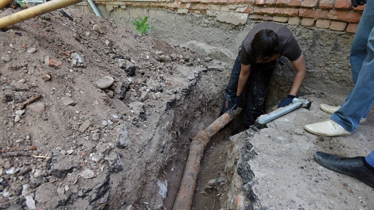    Источник: Максим Коротченко/ТАСС